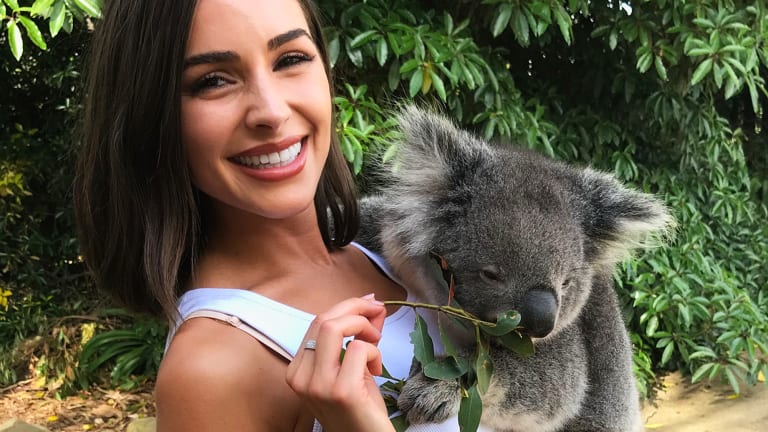Hold a Koala at Kangaroo Island Wildlife Park